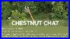 Chestnut_Chat_Science_Strategy_Update_Part_2_01_peur